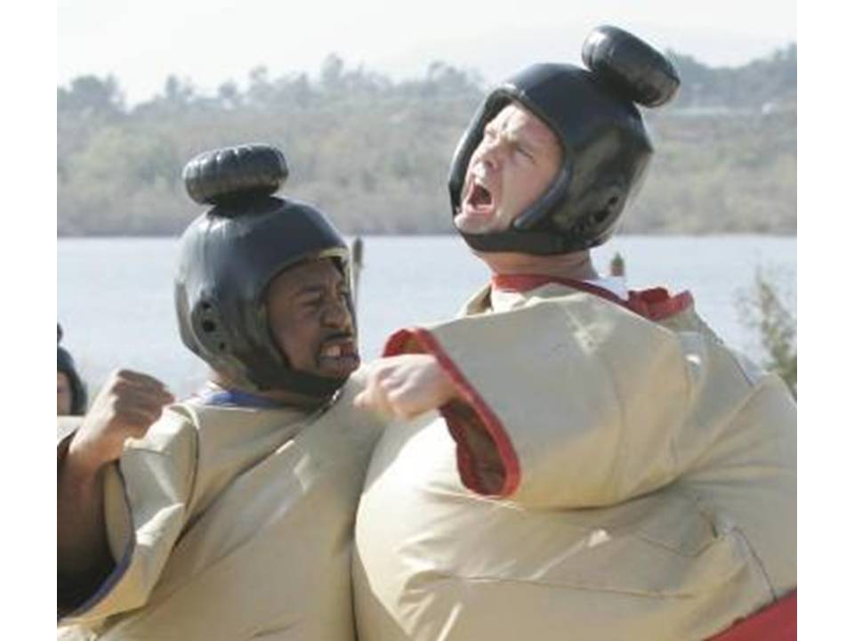 sumo