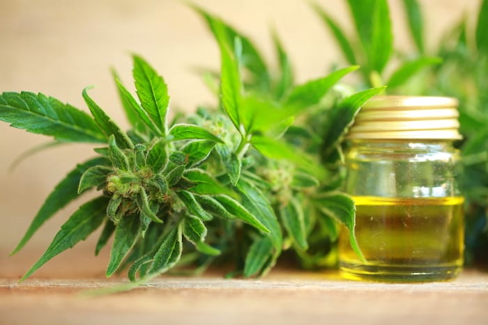 cbd oil reviews