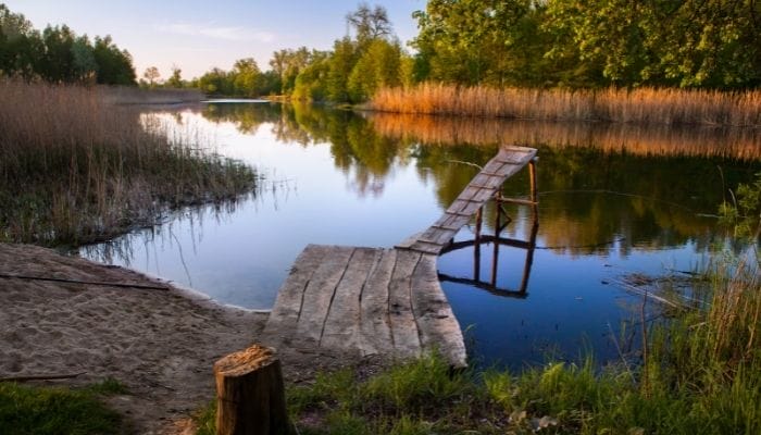 What You Can Do To Find the Perfect Fishing Spot