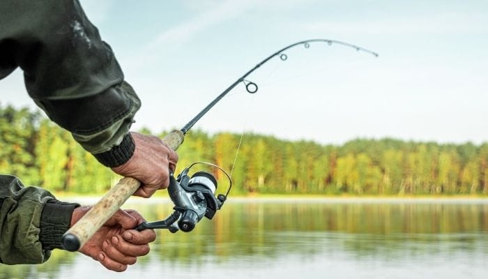 Characteristics You Should Look for in a Fishing Guide