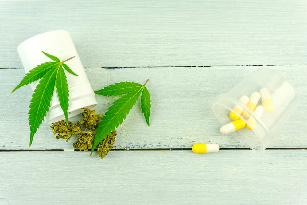 Cannabis flower buds leafs and prescription pills on wooden table, medical marijuana versus prescription medicine concept