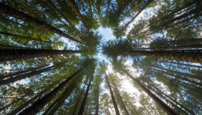 The Most Beautiful State Parks in Oregon