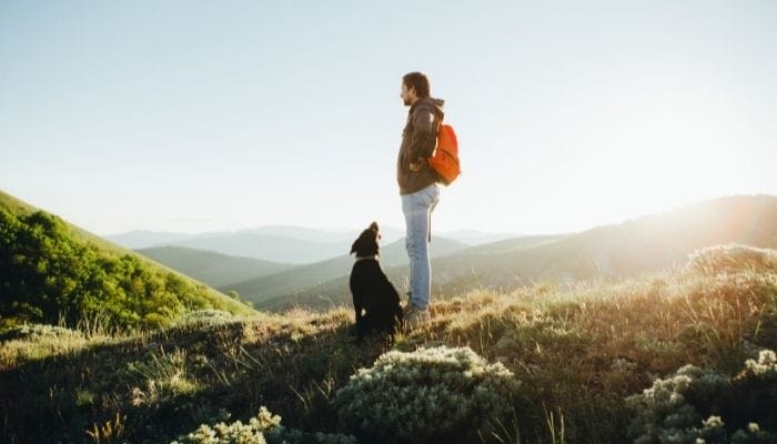 How To Train Your Dog Before a Hiking Trip