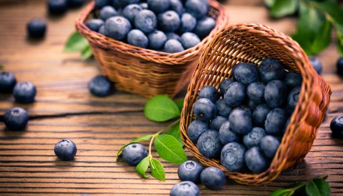 Berry Interesting Things You Didn’t Know About Blueberries