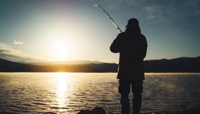 Is It Easier To Catch Fish at Night Than the Day?