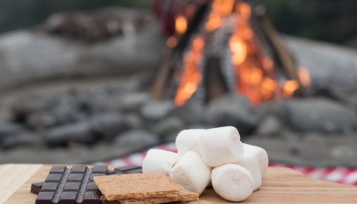 The Best Foods You Should Bring When Camping