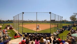 Home 17 Fans watching a baseball game on a sunny day. Some fans are sitting on bleachers, and others have folding lawn chairs.