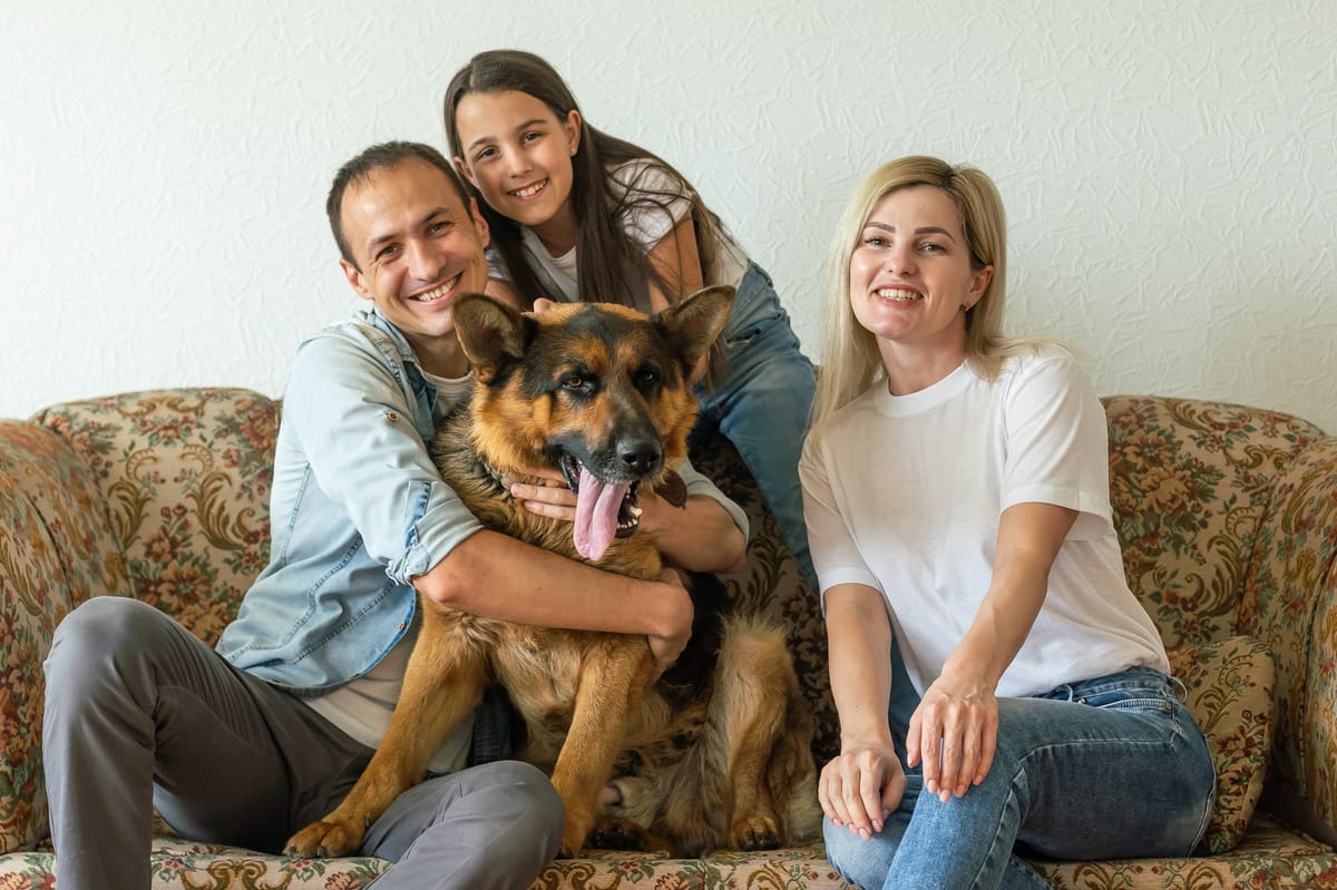 A family sits on a couch and smiles with a German shepherd. The dad hugs the dog, and the dog has its tongue out.