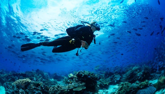 A person in scuba diving gear swimming through a coral reef. There is a school of fish swirling above them.