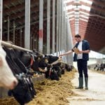 A farmer in a barn touches a black-and-white cow's nose while holding a clipboard, with cows feeding in long troughs nearby.